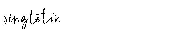 singleton字体