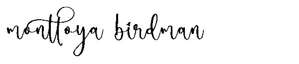 monttoya birdman字体