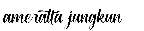 ameratta jungkun字体