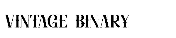vintage binary字体