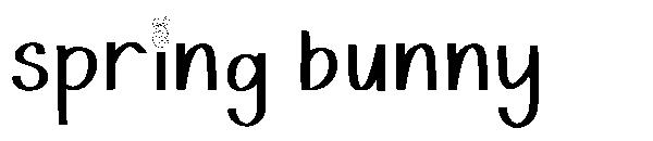 spring bunny字体