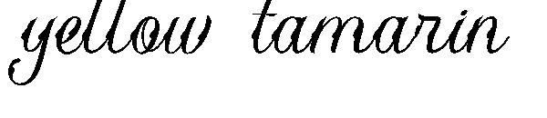 yellow tamarin