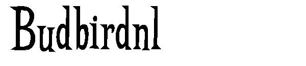 Budbirdnl字体