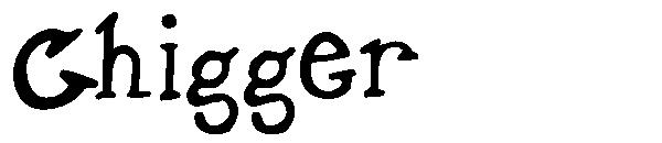 Chigger字体