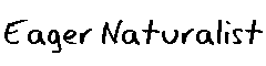 Eager Naturalist字体