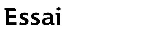 Essai字体
