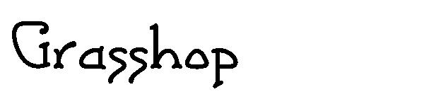 Grasshop字体