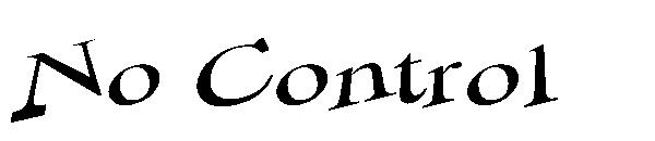 No Control字体