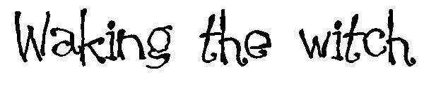 Waking the witch字体