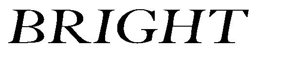BRIGHT字体