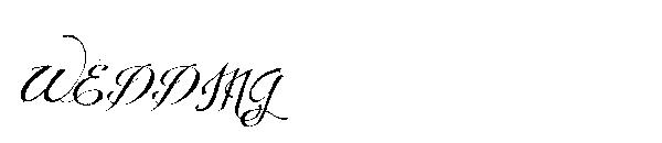 WEDDING字体