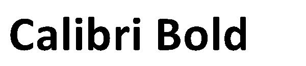 Calibri Bold字体下载