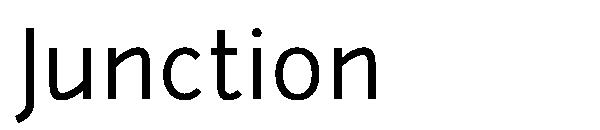 Junction字体