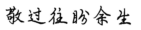 敬过往盼余生字体