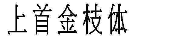 上首金枝体