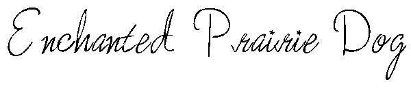 Enchanted Prairie Dog字体