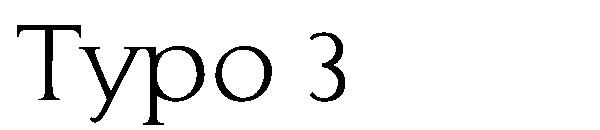Typo 3字体