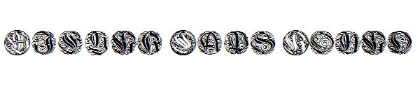 Wieynk Caps Round字体