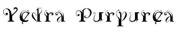 Yedra Purpurea字体