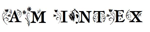 AM Intex字体