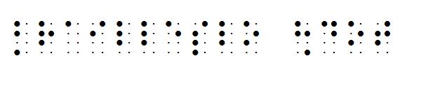BrailleSlo 8dot字体