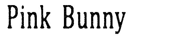 Pink Bunny字体