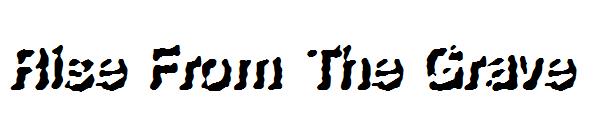 Rise From The Grave字体