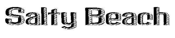 Salty Beach字体