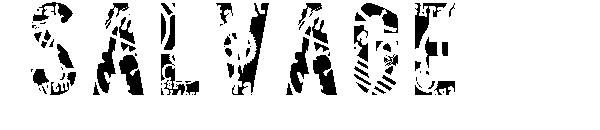 Salvage字体