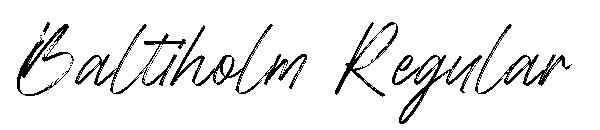 Baltiholm Regular字体