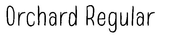 Orchard Regular字体