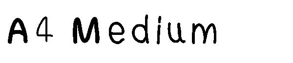 A4 Medium字体