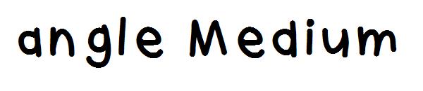 angle Medium字体