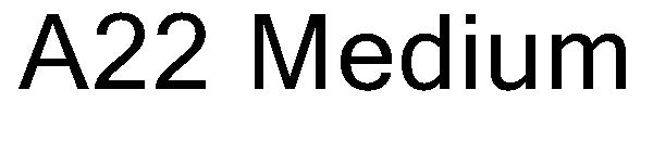 A22 Medium字体