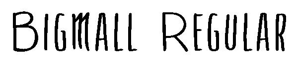 Bigmall Regular字体