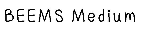 BEEMS Medium字体
